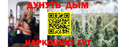прущие грибы Кандалакша