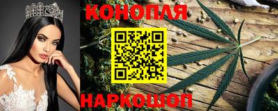 прущие грибы Кандалакша
