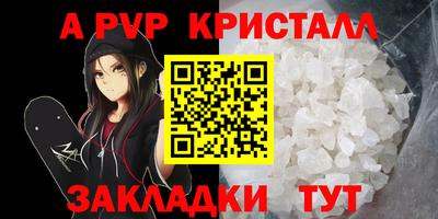 прущие грибы Кандалакша