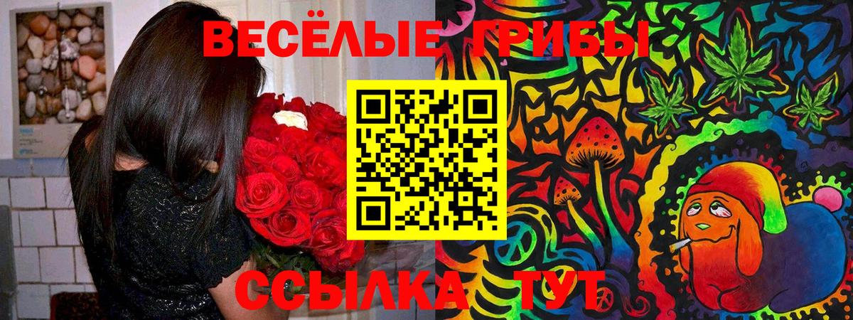 Истра  Галлюциногенные грибы Magic Shrooms  Вход с VPN 