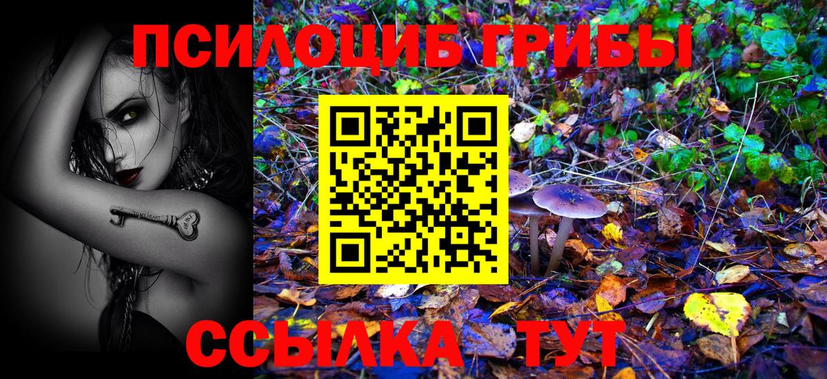 Псилоцибиновые грибы Cubensis Истра